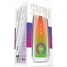 Renas Store Senfoni Müzik Kutusu