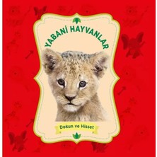 Renas Store Yabani Hayvanlar - Dokun ve Hisset