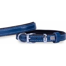 TeknoKapsül Konfor Deri Köpek Boyun Tasması Royalblue 1,5X25 30 cm