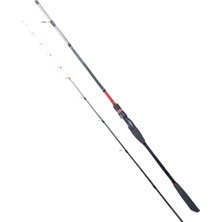 RYUJI Ryujı Spectra Sp 1.98M 70-300GR 2p Bot Kamışı