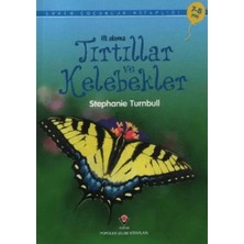 Renas Store Ilk Okuma - Tırtıllar ve Kelebekler