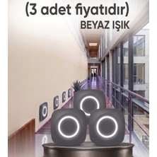 Econa 3 Adet Kare Sensörsüz Beyaz Işık LED Spot Merdiven Basamak ve Koridor Armatürü