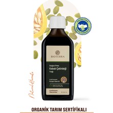 Bioterra Organik Kabak Çekirdeği Yağı – Soğuk Pres, Katkısız Çok Amaçlı Yağ 200 ml | Cold Pressed Pumpkin Seed Oil