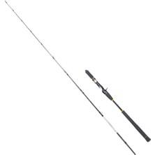 RYUJI Ryujı Seawolf Ca 1.98M 30-150GR 2p (Baıtcast) Tetikli Jıg Kamış