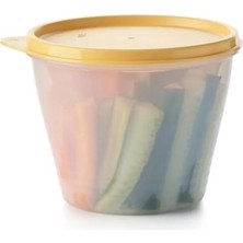 Tupperware Klasik Saklama Kabi 2li Set