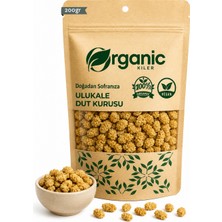 Organic Kiler Doğal Ulukale Dut Kurusu 200GR - Katkısız & Organik Beyaz Kuru Dut