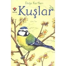 Renas Store Doğa Kartları - Kuşlar