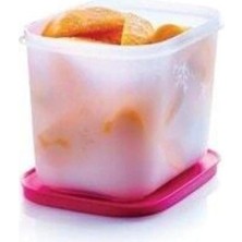 Tupperware Alaska Serisi Dik Buzdolabı Saklama Kabı