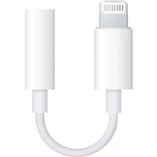 Renas Store ZR58 Lightning Aux Çevirici