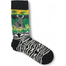 Hedea Zebra Time Çorap