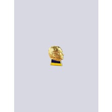 Fenerbahçe Atatürk Rozet