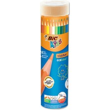Bic 958190 Evolution Kuru Boya Kalemi 24+1 Metal Tüp