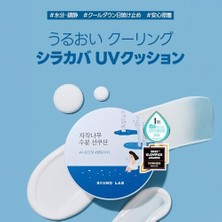 Bg Store Roundlab Birch Juice Moisturizing Sun Cushion Güneş Cushion 15 G