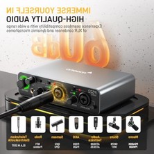 Esranın Dünyası Pro Preamp, 24BIT/192KHZ, USB Arayüz, Ev Kaydı Için