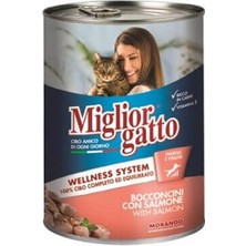 TeknoKapsül Somon Balıklı Yetişkin Kedi Konservesi 405 gr