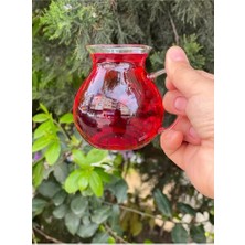 Bg Store Keyfi Ala 6'lı Borosilikat Cam Çay Bardağı Seti, 200ML Termisil Kupa, Şık ve Dayanıklı, Çay Vakti Için Ideal (12 Adet)
