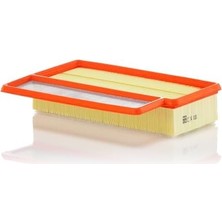Bg Store Hava Filtresi C 24 080 (Fiat)