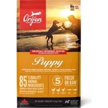 Orijen Puppy Kümes Hayvanı ve Balık Yavru Köpek Maması 11.4 kg