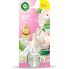 Bg Store Elektrikli Yedek Yasemin Çiçeği