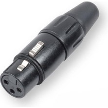 Renas Store Sline Audio Xlr Dişi Mikrofon Jack 3 Pin