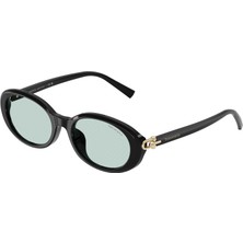 Tiffany Tıffany Tf 4242D 8001D9 54 Kadın Güneş Gözlüğü