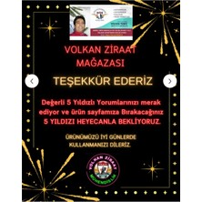 Volkan Ziraat Mühendislik Tarımsal Biyoteknoloji ve Gen Düzenleme Yöntemleri