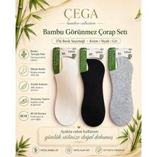 Akyol Çega Socks Erkek Görünmez Bambu Dikişsiz Sneaker Çorap 12'li