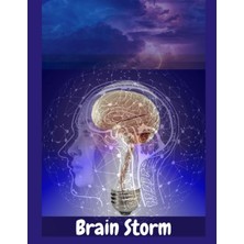 Mey İthalat Brain Storm Journal
