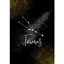 Mey İthalat Taurus Journal