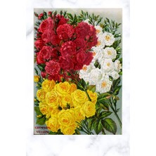 Mey İthalat Rose Covered Journal