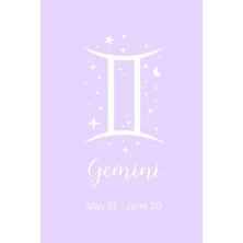 Mey İthalat Gemini Journal