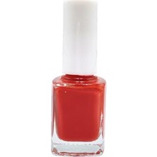 Mey İthalat Oje Seti, No: 299 Kırmızı ve C-08 Simli Mavi, 15 Parça Nail Art Fırça Seti