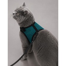 Glipet Kedi Göğüs Tasması Terleme Yapmaz Air Kumaş 120 cm Ip -25*35 cm Turkuaz
