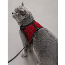 Glipet Kedi Göğüs Tasması Terleme Yapmaz Air Kumaş 120 cm Ip -25*35 cm Kırmızı