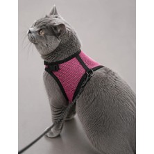 Glipet Kedi Göğüs Tasması Terleme Yapmaz Air Kumaş 120 cm Ip -25*35 cm Pembe