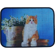 Mey İthalat Miapet Elekli Desenli Kedi Tuvalet Önü Paspası 60 x 45 cm Saksı