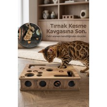 Mey İthalat Reyo Pet Kedikür Kedi Tırmalama ve Oyun Kutusu – Tırnak Törpüleyici Interaktif Kedi Oyuncağı