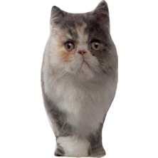 Mey İthalat Lepus 3 Boyutlu Kedi Yastığı Exotic No 4 40X25 cm