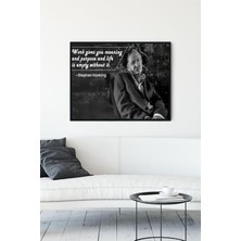 Mey İthalat Postermanya (PSTER12657) Stephen Hawking Motivasyon Çerçeveli Tablo (40X50CM)