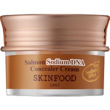 Mey İthalat Skinfood Salmon Sodıum Dna Concealer Cream Krem No.2 Beige