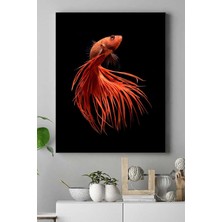 Mey İthalat Postermanya (PSTER17769) Sanatsal Balık Hayvan Kanvas Tablo 3 30 x 40