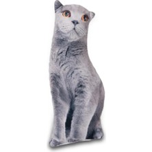 Mey İthalat Lepus 3 Boyutlu Kedi Yastığı No 9 40X25 cm