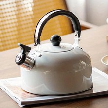 Mey İthalat Valkyrie 3l Paslanmaz Çelik Düdüklü Kettle Su Isıtıcısı Çaydanlık Islıklı Demlik