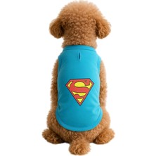 Mey İthalat Kedi ve Köpek Kıyafeti & Elbisesi Turkuaz Superman Atlet Xl