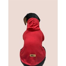 Mey İthalat Kapişonlu Sweatshirt Köpek ve Kedi Kıyafeti - Düz Kırmızı Xs Beden