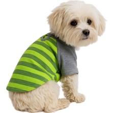 Mey İthalat Kedi ve Köpek Kıyafeti & Elbisesi Yeşil Gri T Shirt Xl