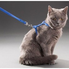 Mey İthalat Orret Home 110 cm Vücuda Takılan Kedi Tasması, Konforlu ve Ayarlanabilir Tasarım, Güvenli Yürüyüşler Için Ideal, Dayanıklı ve Şık Kedi Harness,göğüs Tasması