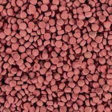 Mey İthalat Tropical Krill Gran Xxl Kovadan Bölme 100GR