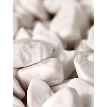Mey İthalat Beyaz Çakıl Taşı Dolomit Taşı Bahçe Süsü Akvaryum Taşı Dere Çakıl Taşı 1-2 cm 1 kg