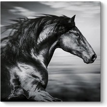 Mey İthalat Tabloshop Ispanyol Koşu Atı Kanvas Tablo 30 x 30